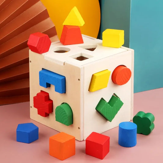 Wood Puzzle Geometric Shape Blocks